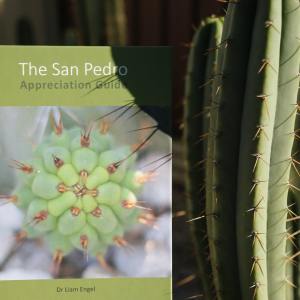 The San Pedro Appreciation Guide